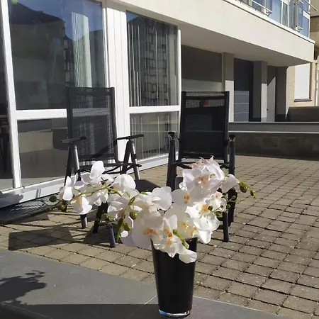 Studiobeach Koksijde