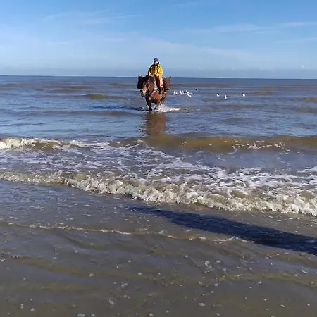 Apartment Studiobeach *